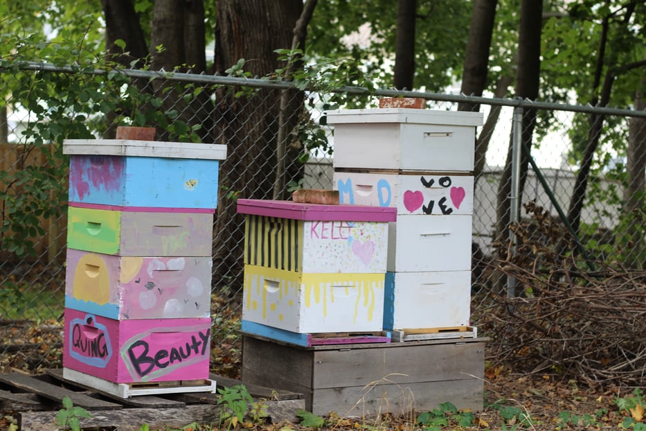 Three of the beehives located at the Arthur Street Garden in Newhallville