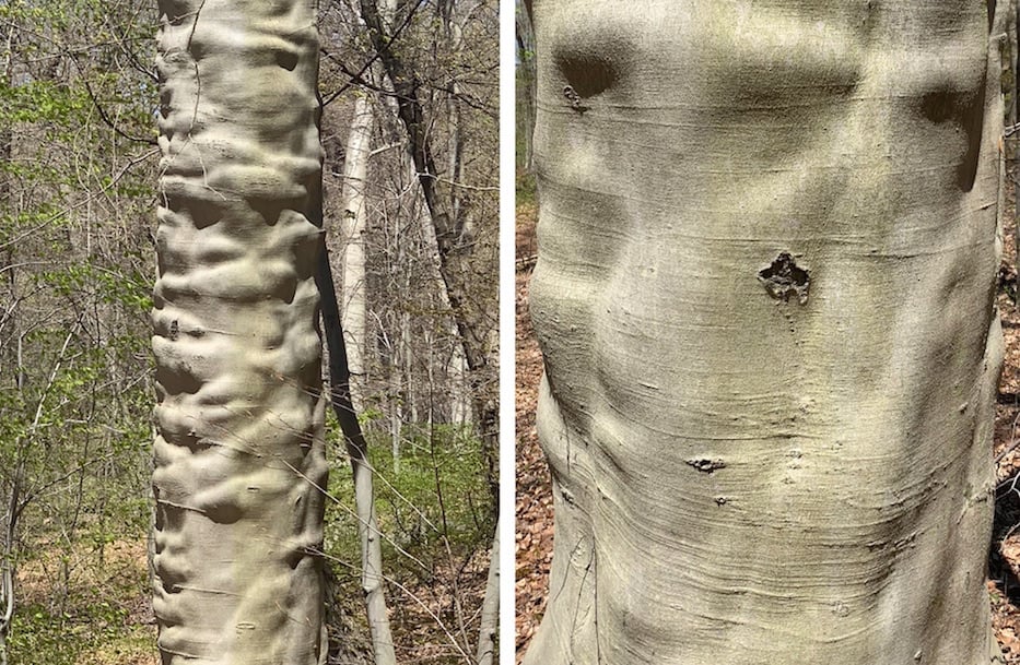 How East Rock Park Changed One Designer's Path