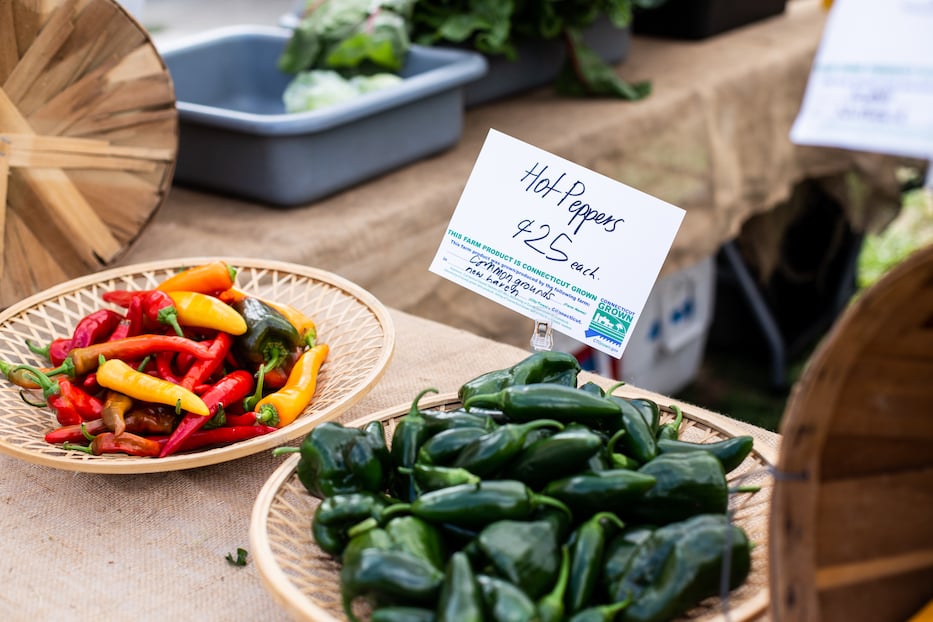 AMP_Common Ground Market Fair Haven_22-9529