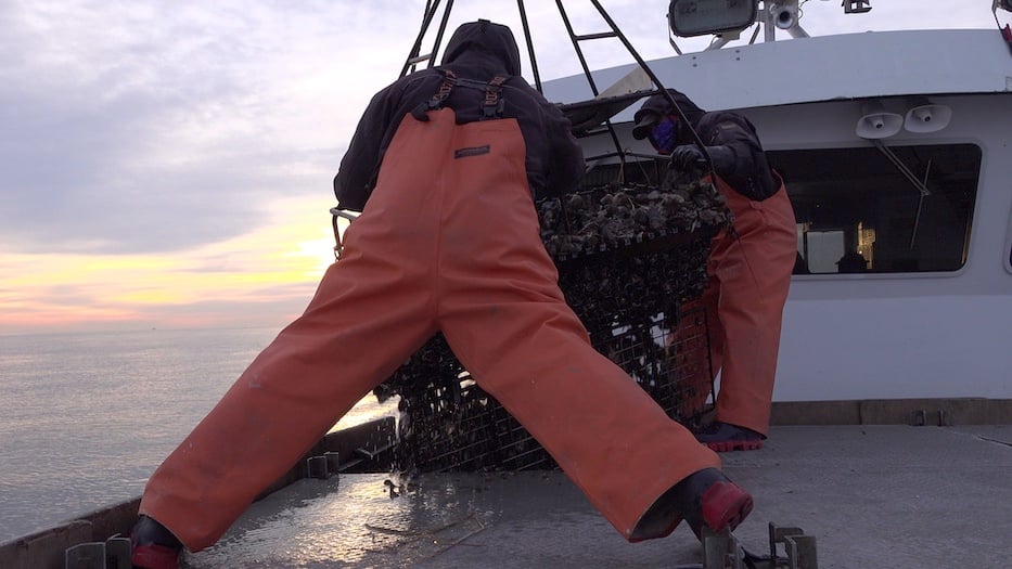 Crew empties dredge 