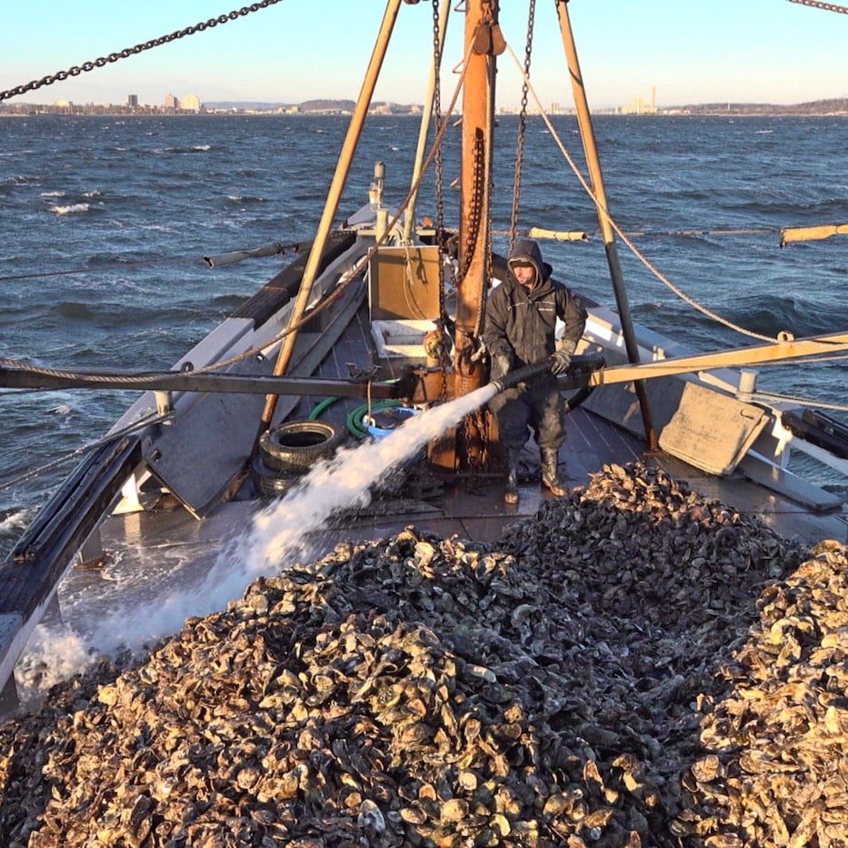 Washing off in New Haven Harbor