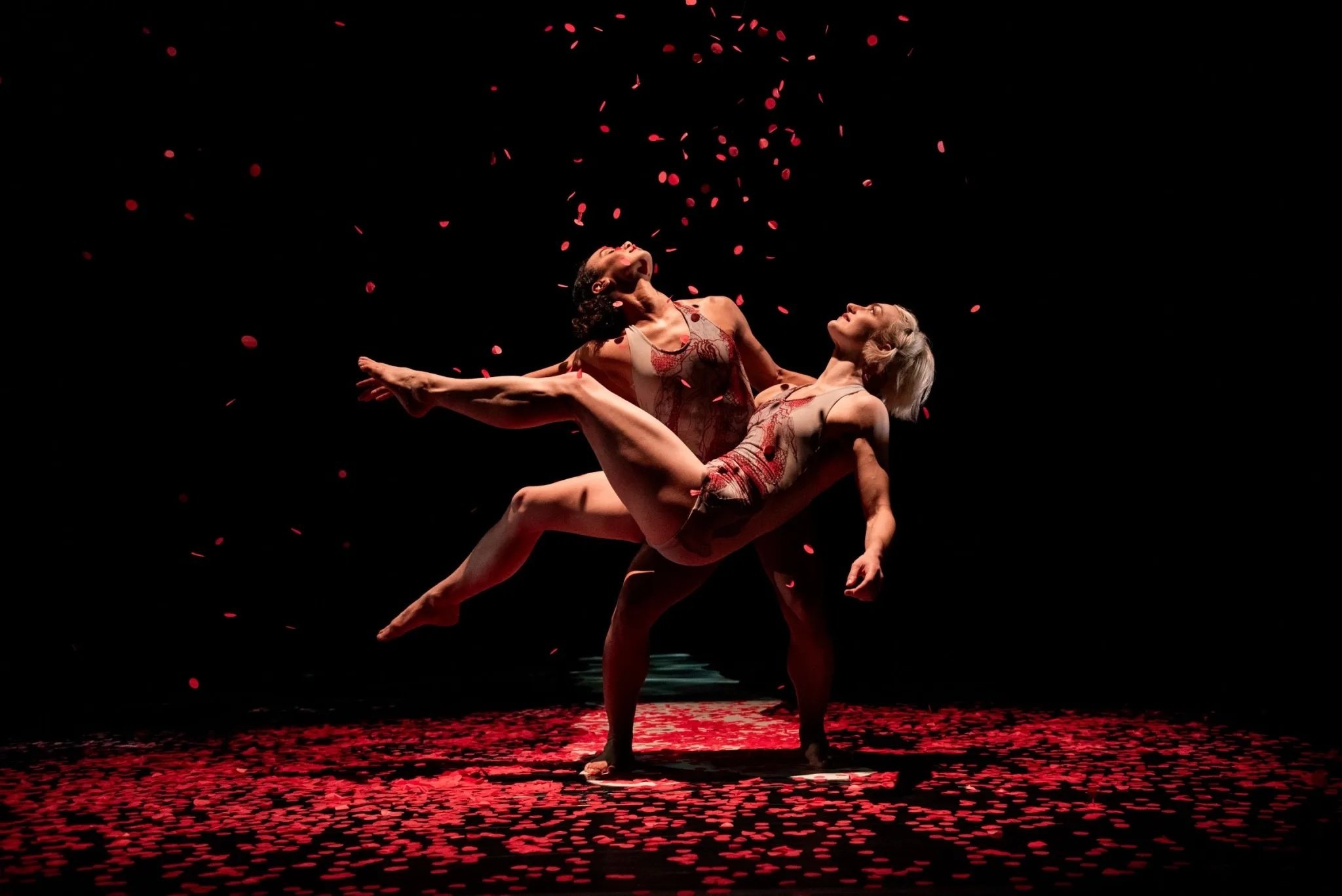 Pilobolus-Bloodlines-Jason-Hudson--2048x1367