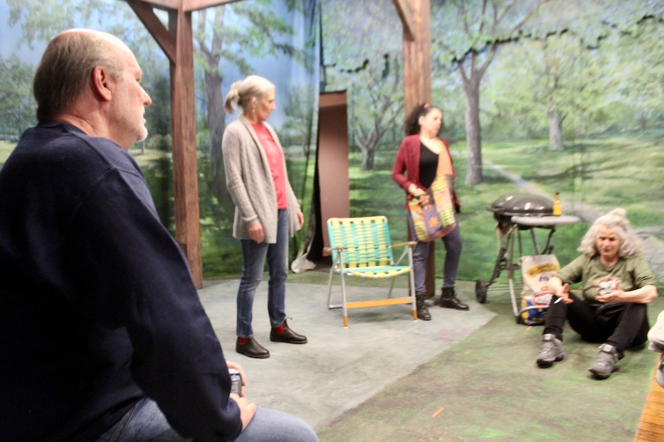 Susan Kulp Collective Consciousness Theatre Bounces Back