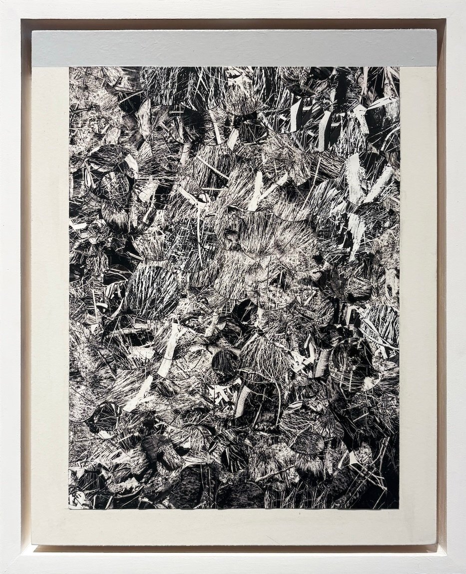 MatthewShelley_untitled copy