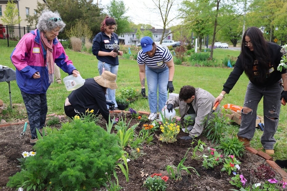 PeacePlantingMothers4