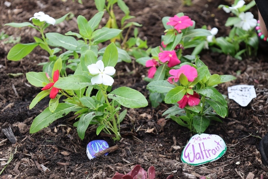 PeacePlantingMothers5