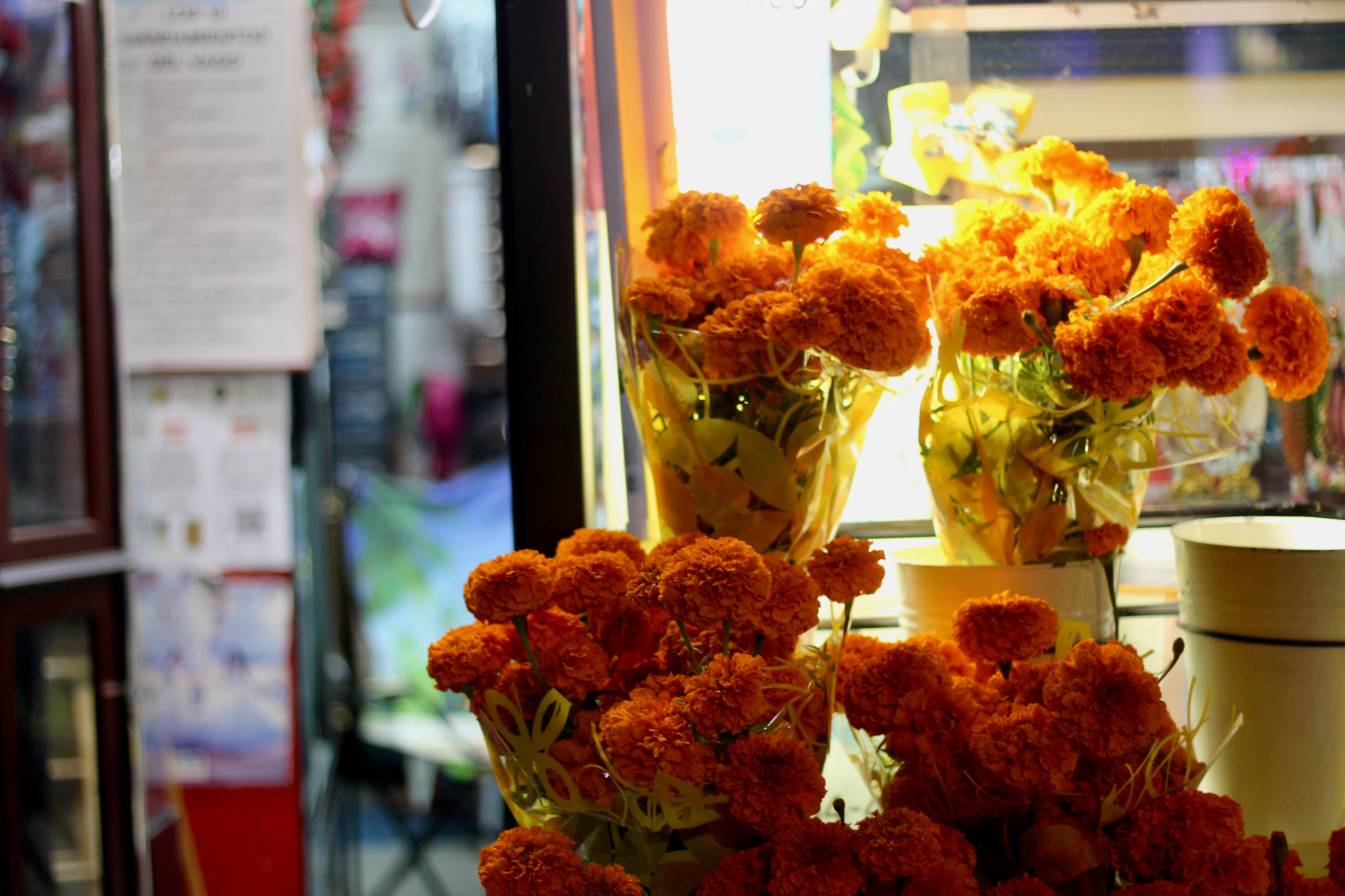 DiaDeMuertos_2025 - 20