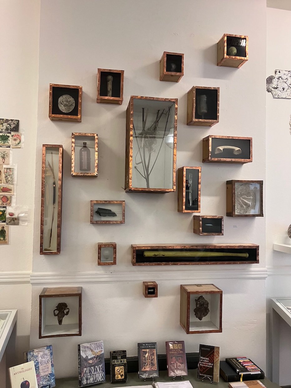 At The Institute Library, A Collection Of Collections