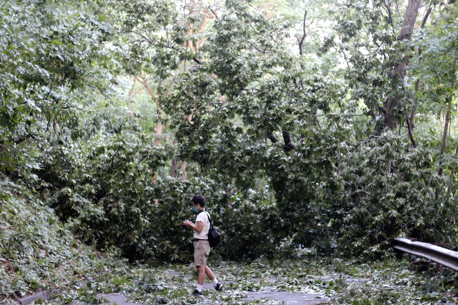 East Rock Park After The Storm