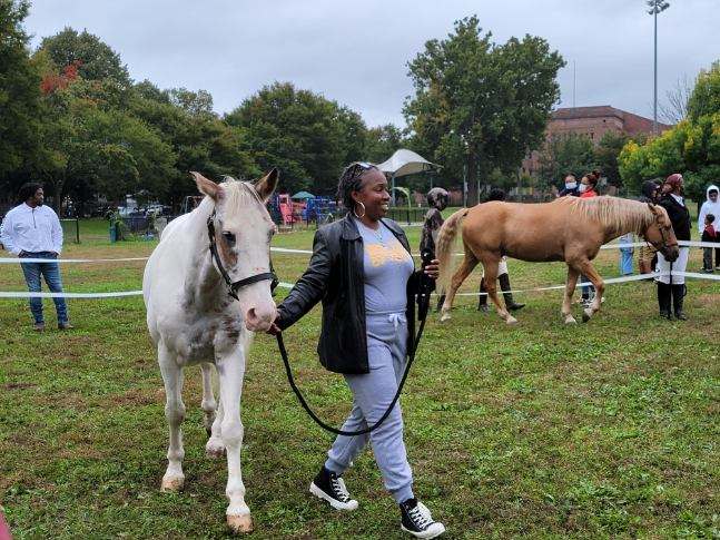 Horses, Healers Come Together In Goffe Street Park