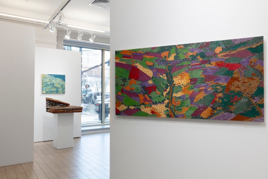 Leila Daw’s Visual Research In & Of The World