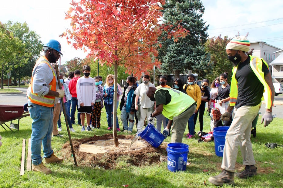 A Tree Grows At Betsy Ross