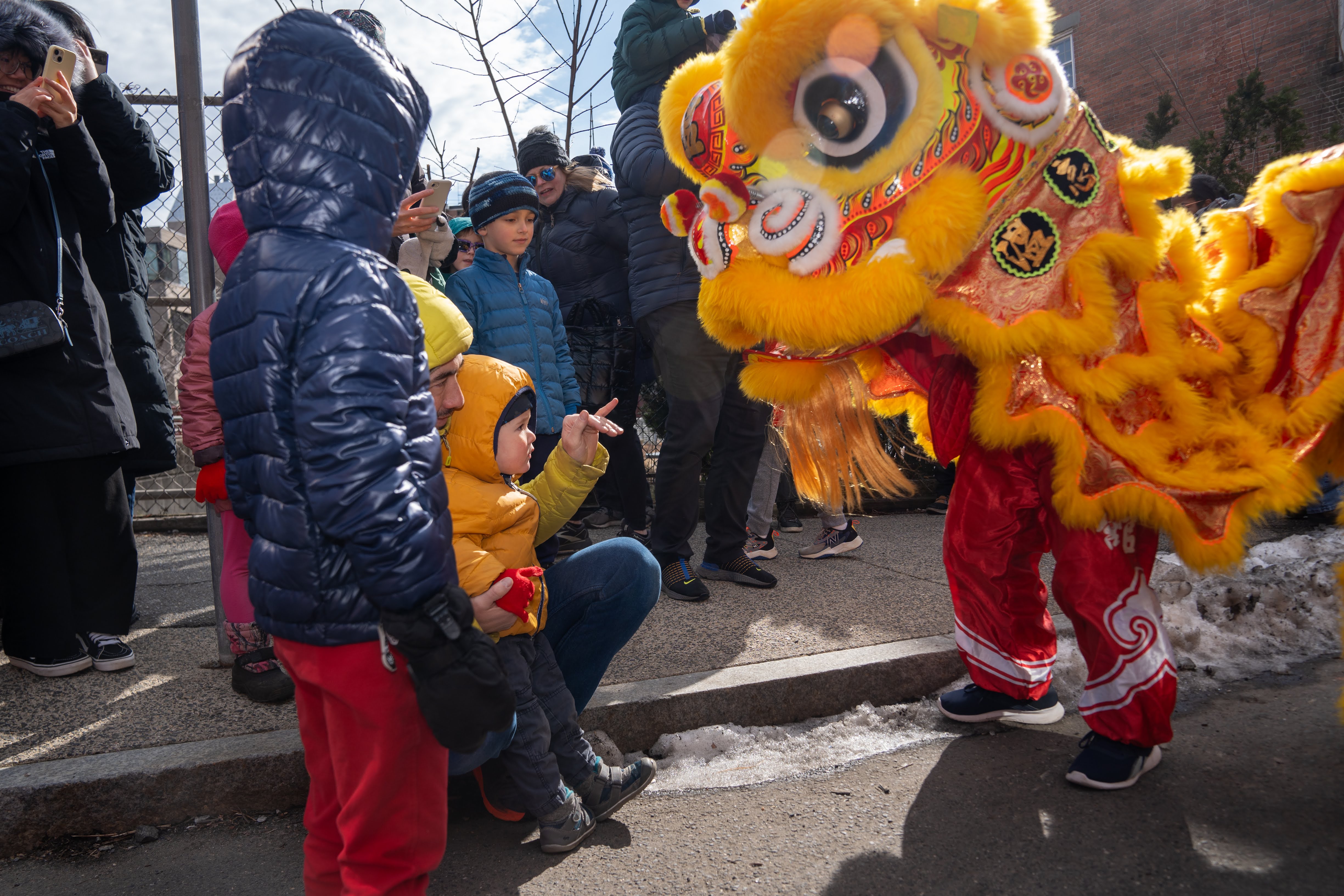 Lunarfest 2024: The Year of the Dragon