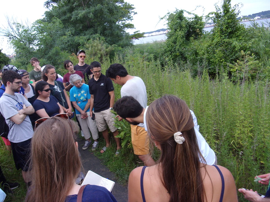 In front of milkweed on the trail.