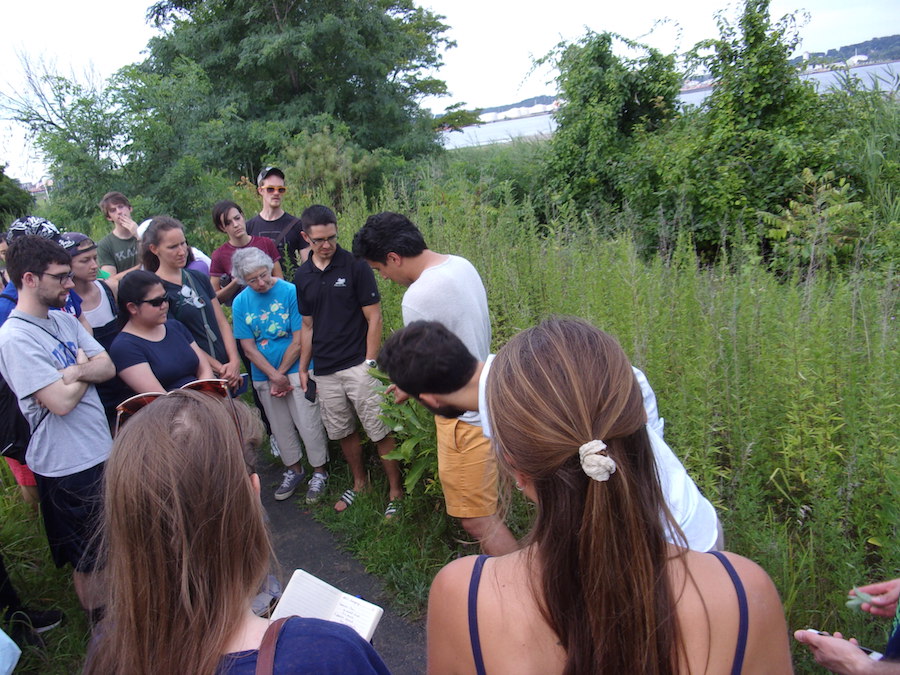  In front of milkweed on the trail.  