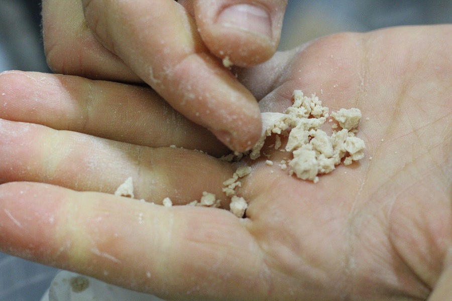 Kanter with some of the yeast the bakery uses.