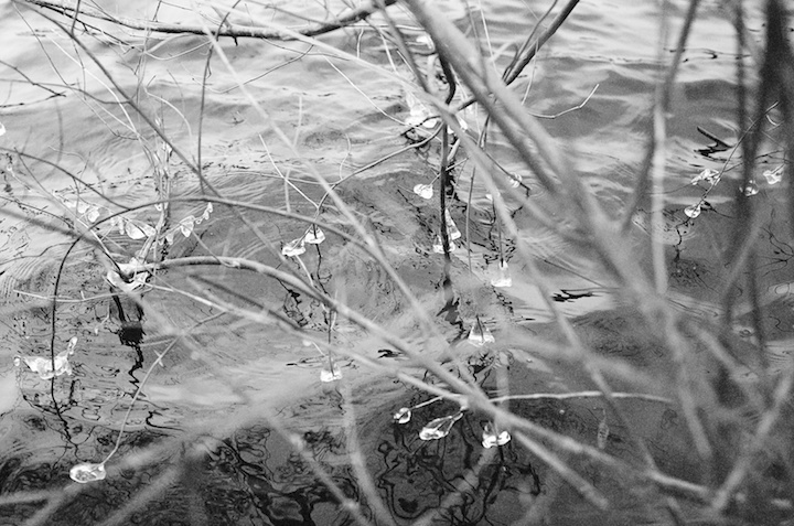  Bunton's work from a frigid day last year in East Rock Park. Monica Bunton Photo.  