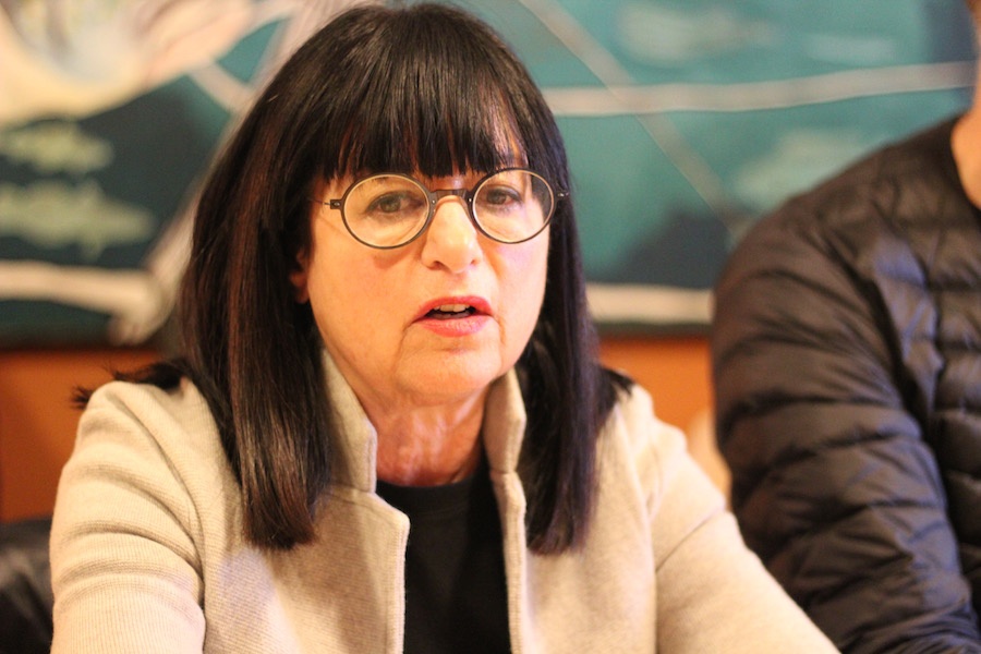 Linda Lindroth: “The city has made suggestions, promises. Engineers have come to the corner with papers. And nothing really happens. So we’re gonna bring the art guys in.”