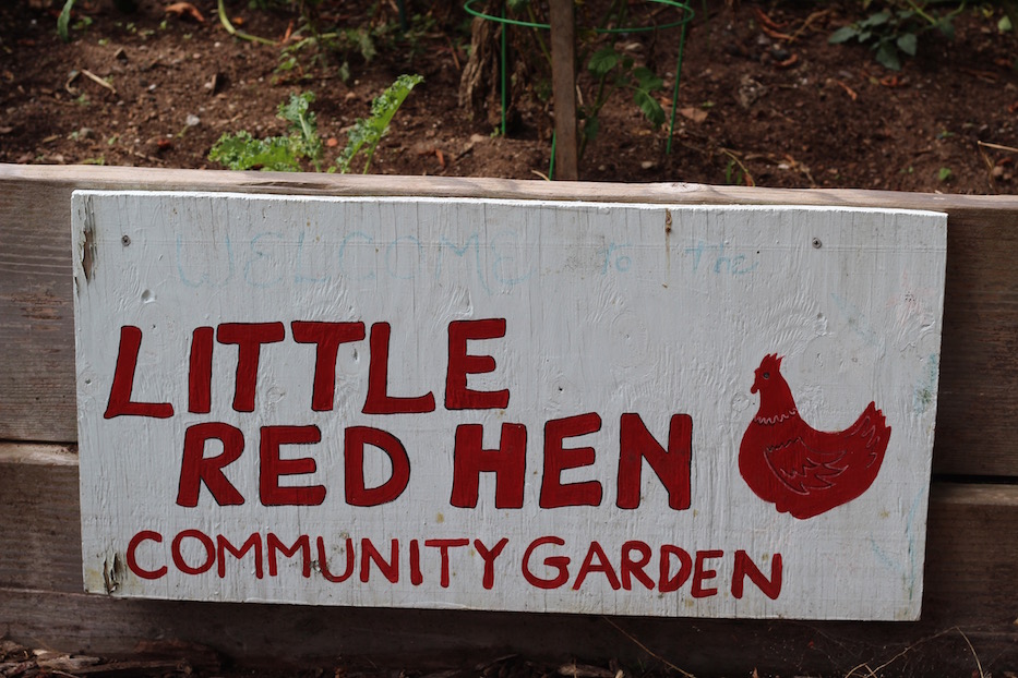 LittleRedHen - 8