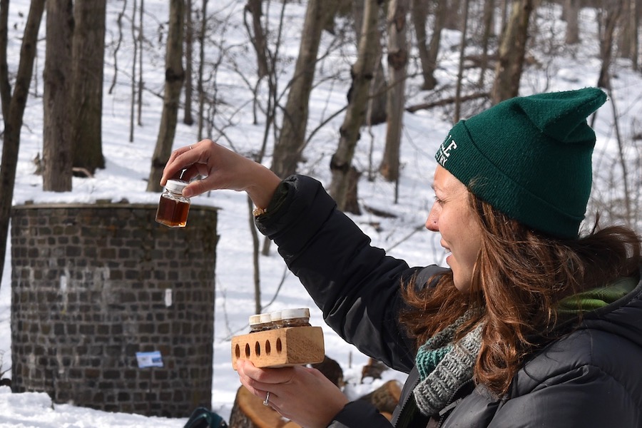 New Haven Trees Yield Liquid Gold