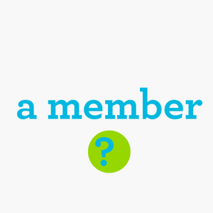 member 